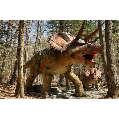 Dinozaur Animatronic Triceratops 10 m